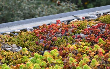 the cost of Lower Stanton St Quintin green roof installation