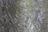 Lower Stanton St Quintin fibreglass roof work